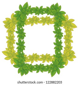 White background with a frame of fresh leaves of plants. Vector