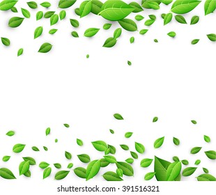 White background with fresh green leaves. Vector paper illustration.