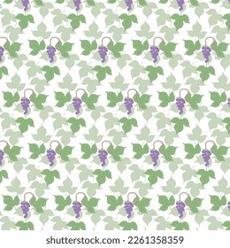 Fondo blanco con hojas y racimos de uva. Patrón decorativo sin fisuras para envolver papel, papel pintado, textil, tarjetas de felicitación e invitaciones.