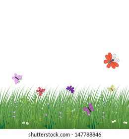 White Background Grass Butterflies Leaves Flowers Stock Vector (Royalty ...