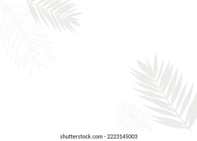 White background with gray outline of palm branches, horizontal background, shadow from palm leaves