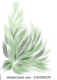 White background. Green abstract leaves.