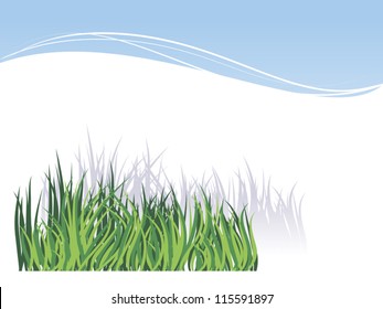 White background with green grass image for greetings Valentine's Day or invitations for a  picnic