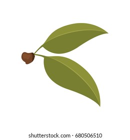 white background with green leaves of cherry with stem vector illustration