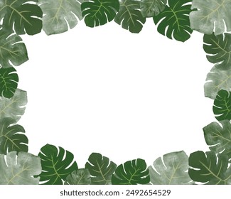fondo blanco con hojas de verano verdes