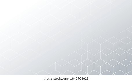 white background with hexagonal line pattern design