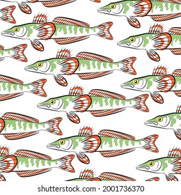 White background with Ice fishes. Vector. Cartoon character.