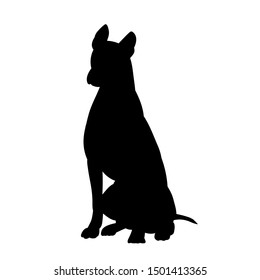 white background, icon, black silhouette of a dog sitting