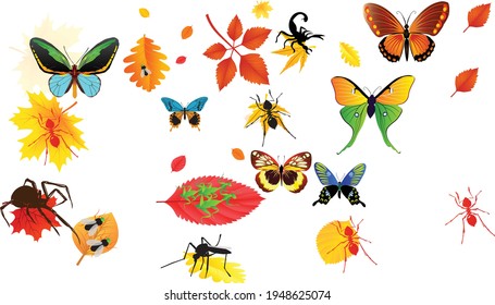 White background insects and leaves