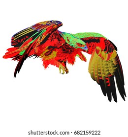 White background isolated colored eagle wingspan feathers