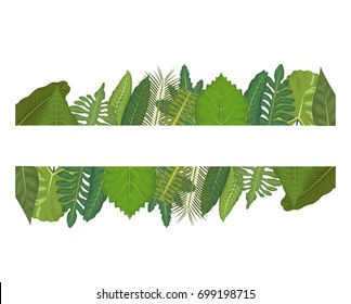 white background with linear edge decorative of green leaves