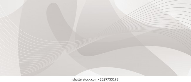 White background modern abstract with dynamic curve line elegant. Vector illustration template design