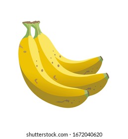 white background on banana fruit vector