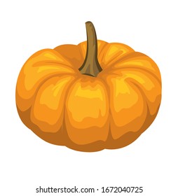 white background on pumpkin vector