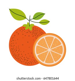 white background with one orange fruit and orange slice and without contour vector illustration
