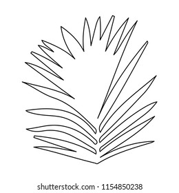 white background  outline palm leaf