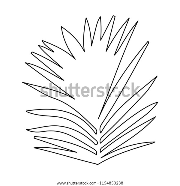 White Background Outline Palm Leaf Stock Vector Royalty Free