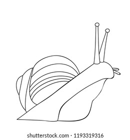 white background, outline, sketch snail