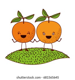 white background with pair of orange fruits caricature over grass vector illustration