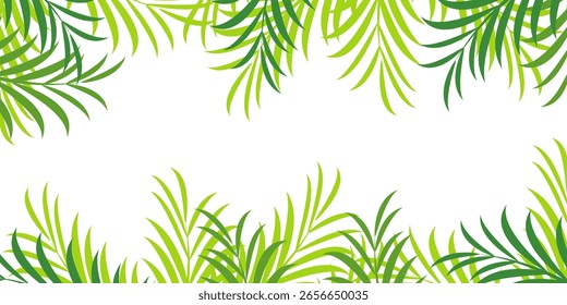 
Fondo blanco con combinación de marco de hoja de palma. Fondo de tema de verano