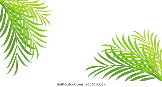 
Fondo blanco con combinación de marco de hoja de palma. Fondo de tema de verano