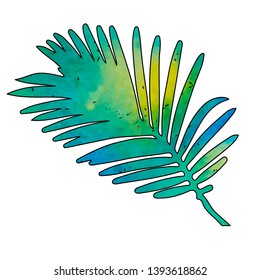  white background palm leaf, green watercolor, one with an outline