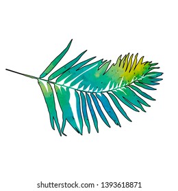  white background palm leaf, green watercolor, one