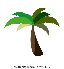 white background with palm tree and middle shadow vector illustration