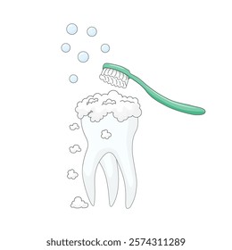 white background, personal hygiene procedure for cleaning the surface of the teeth from food debris and soft plaque, performed with a green toothbrush and toothpaste