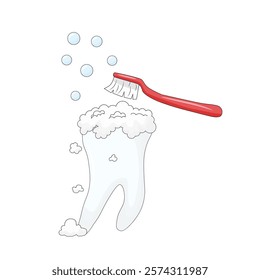 white background, personal hygiene procedure for cleaning the surface of the teeth from food debris and soft plaque, performed with a red toothbrush and toothpaste