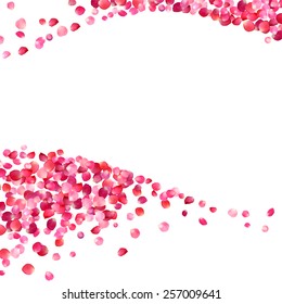 white background with pink rose petals waves