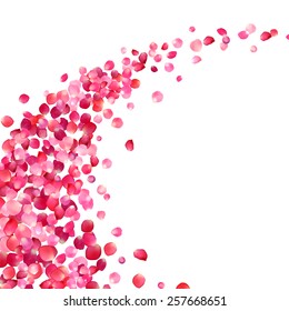 white background with pink rose petals vortex