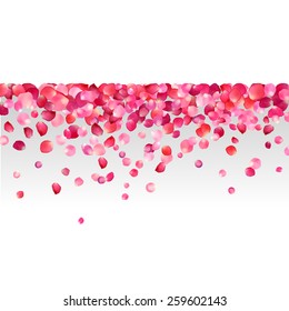 fondo blanco con pétalos de rosa rosa rosa 
