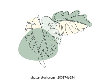 White background. Plants painting. Airpurify leaf. Monstera variegate. Illustrators.