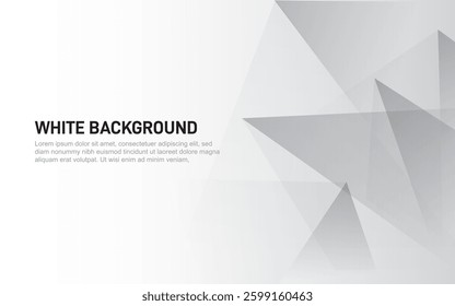 White Background Presentation. Grey effect decoration. Modern graphic design element concept for presentation Vector