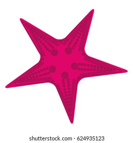 white background with purple starfish vector illustration