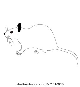 white background, rat,  black and white silhouette