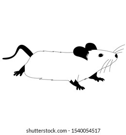 white background, rat, mouse, black and white silhouette