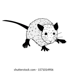 white background, rat, mouse, black and white silhouette