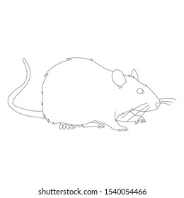 white background, rat, mouse, outline, set