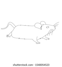 white background, rat, mouse, outline, set