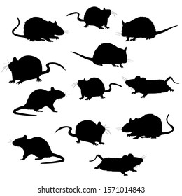 white background, rats, mouse, rodents, silhouette, set, run