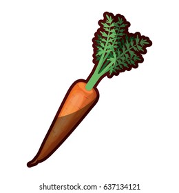 white background of realistic carrot with stem and leaves in closeup with thick contour vector illustration