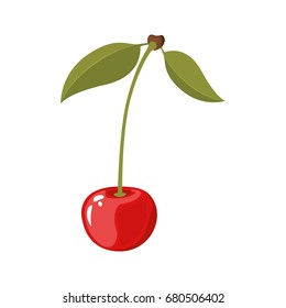 white background of realistic cherry with stem and leaves vector illustration