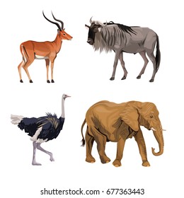 white background with realistic colorful wild african animals