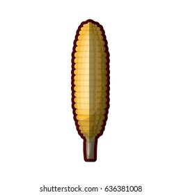 white background with realistic corncob in close up with thick contour vector illustration