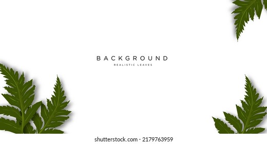 white background with realistic leaves.real background green leaves .eps 10