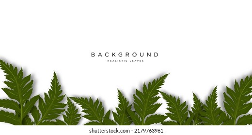 white background with realistic leaves.real background green leaves .eps 10