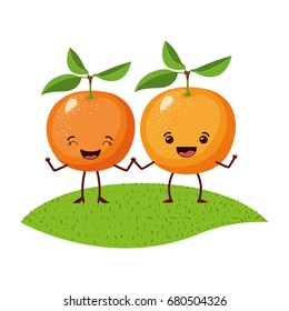 white background with realistic pair of orange fruits caricature over grass vector illustration