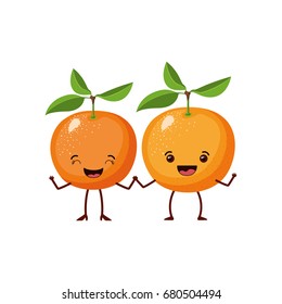 weißer Hintergrund mit realistischem Orangenfruchtpaar Karikatur Vektorillustration